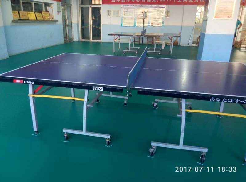 河南洛陽市孟津縣體育總局乒乓球運(yùn)動(dòng)地膠